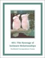 401e: The Synergy of Intimate Relationships Download