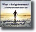 What Is Enlightenment? 4 CD Workshop
